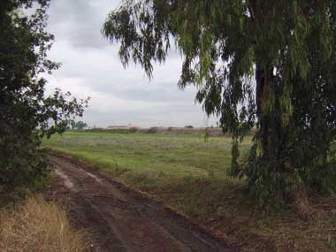 Rimboschimento area in prossimità del fiume Volturno