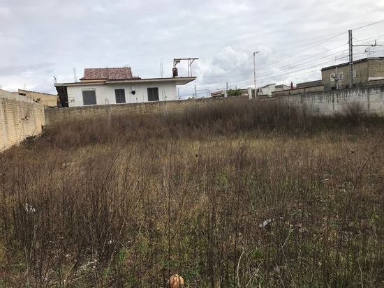 foto via petrarca 4