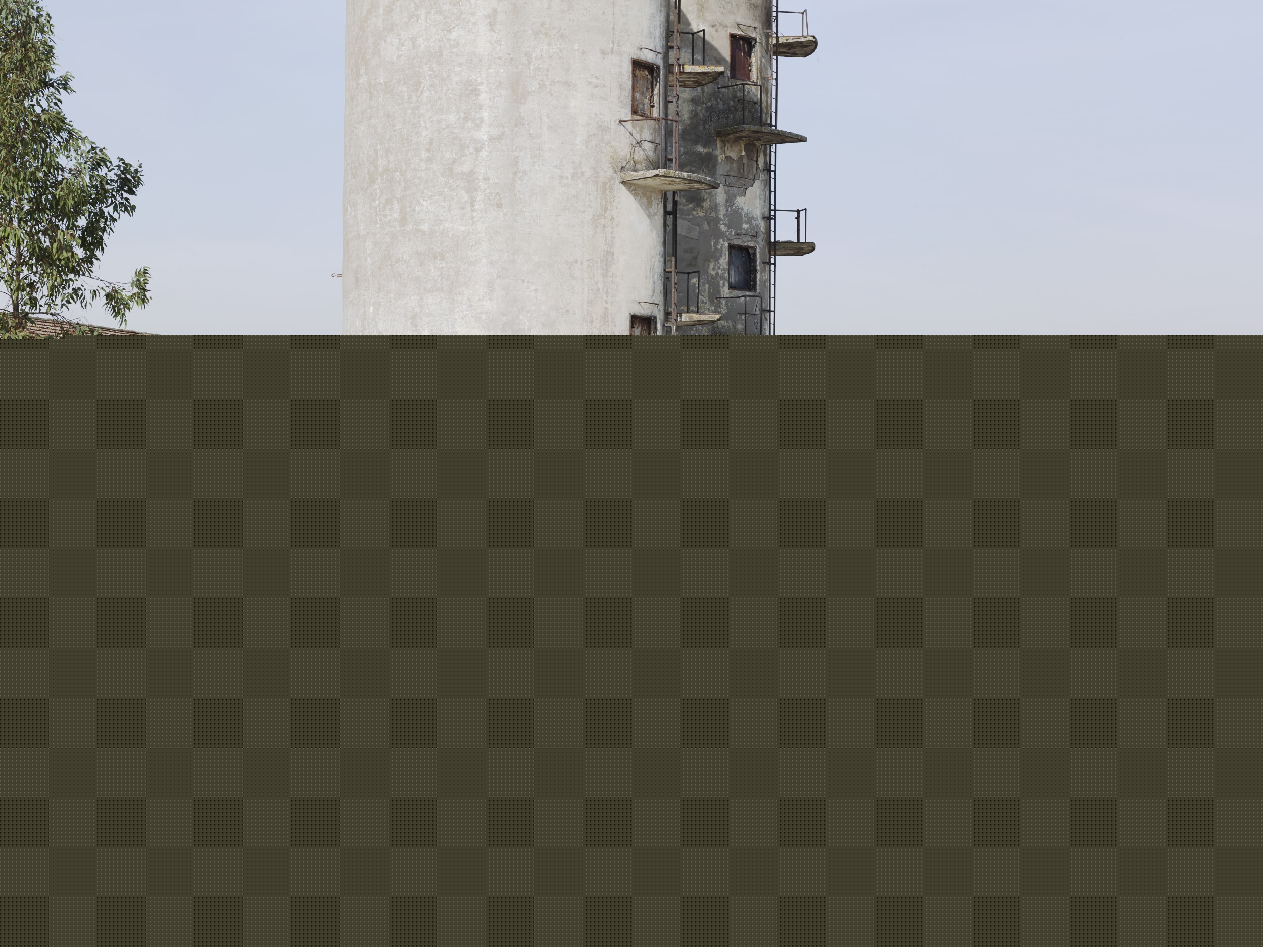 balzanadb1