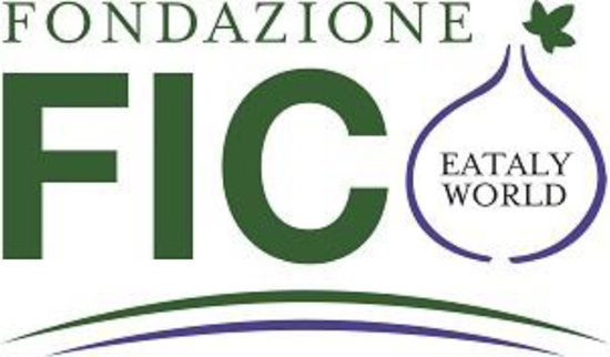 logofondfico