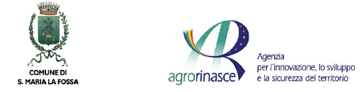 logoagrosmlf