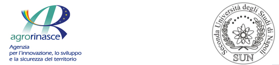 logoagrorinascesun