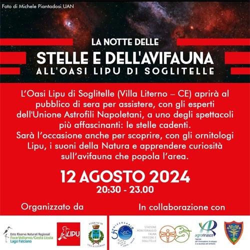 oasi1