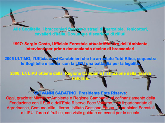 locandina 2