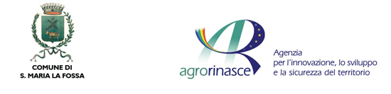testataagrosmlf